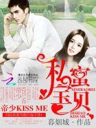 帝少私宠宝贝妻完整版