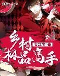 乡村极品高手东子