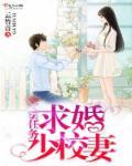 独家婚宠军少 来一战