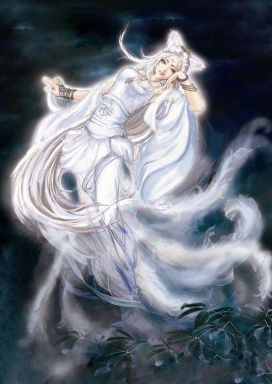 帝狐狸是哪个明星