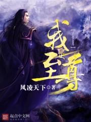 我是至尊免费全文阅读全文