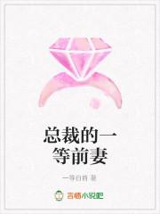 总裁的一等前妻全文阅读