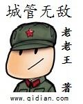 城管无敌txt精校版