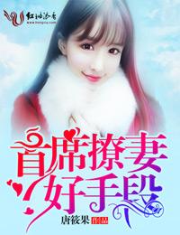 首席诱宠
