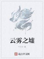 云雾之境茶叶