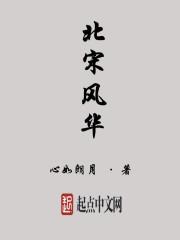 北宋风云
