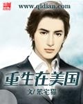 重生在美国创业后回国的