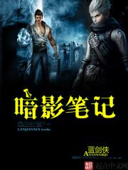 暗影笔记本能装普通固态吗