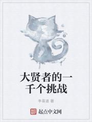 大贤者用什么符文