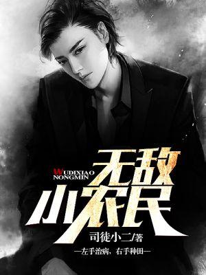 无敌小农民txt全文