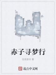 追梦赤子心是哪个动画片