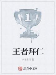 王者拜仁简介