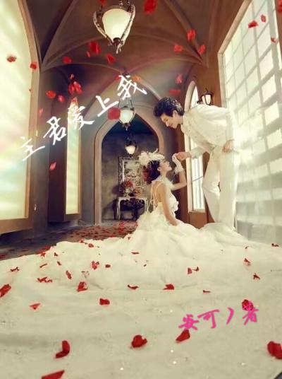 主君的宠儿