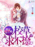 大学毕业生优惠政策