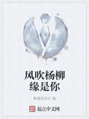 风吹杨柳岸边走歌曲
