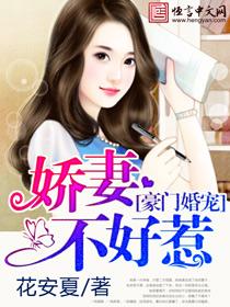 娇妻不上门