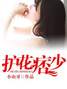 痞子护花