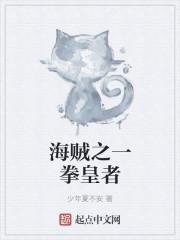 海贼之拳皇系统