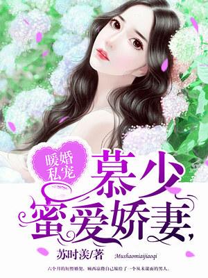 暖婚撩人 顾少宠妻