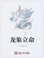 龙象啥意思