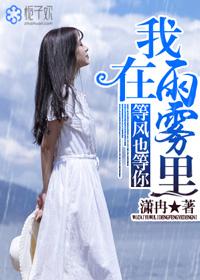 我在雨雾里等风也等你章节目录