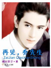 乔先生什么电视剧