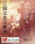 有声三国之北汉燕王