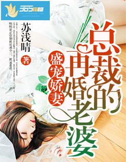 总裁的再婚老婆