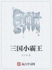 重生三国小霸王