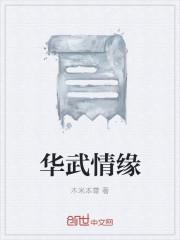 华武乾坤