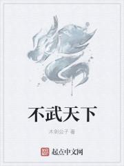 丹武天下
