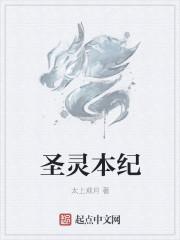 圣灵纪大结局