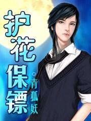 护花保镖陆飞