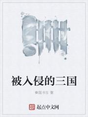 被入侵的三国秦国书生