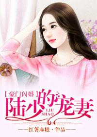闪婚后被豪门大叔宠着