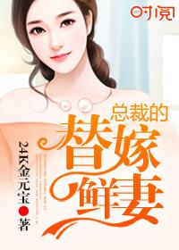 总裁的替嫁新娘全文免费的