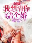 韩先生我想请你结个婚txt