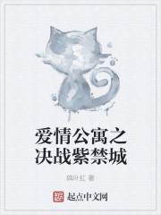 爱情公寓决战紫禁之巅视频