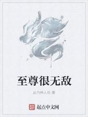 至尊无敌电视剧