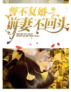 誓不复婚前妻不回头免费阅读