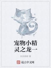 宠物小精灵最强之龙