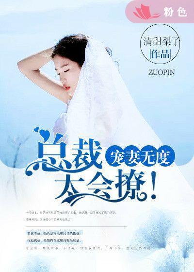 宠妻无度 总裁狠缠绵