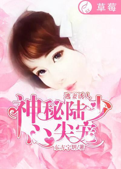 逃婚罪妻陆少偏执私宠
