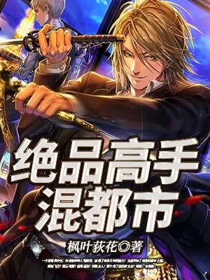绝品高手混都市叶道