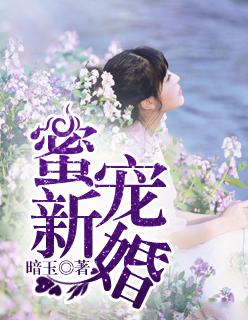 总裁的新婚蜜宠免费阅读