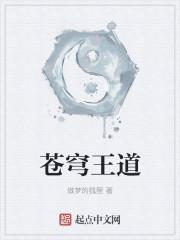 苍穹王道全集免费