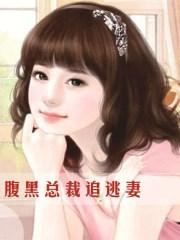 腹黑总裁追逃妻txt