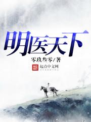 明医杂著在线阅读