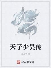 少年天子是谁
