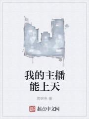 我的主播公司